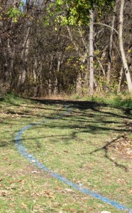 2010 10-31 Cross Country Lane at Rim Rock
