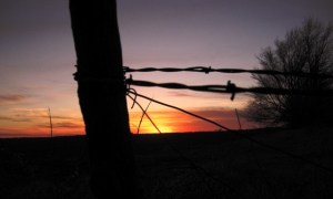 Barbed wire sunset